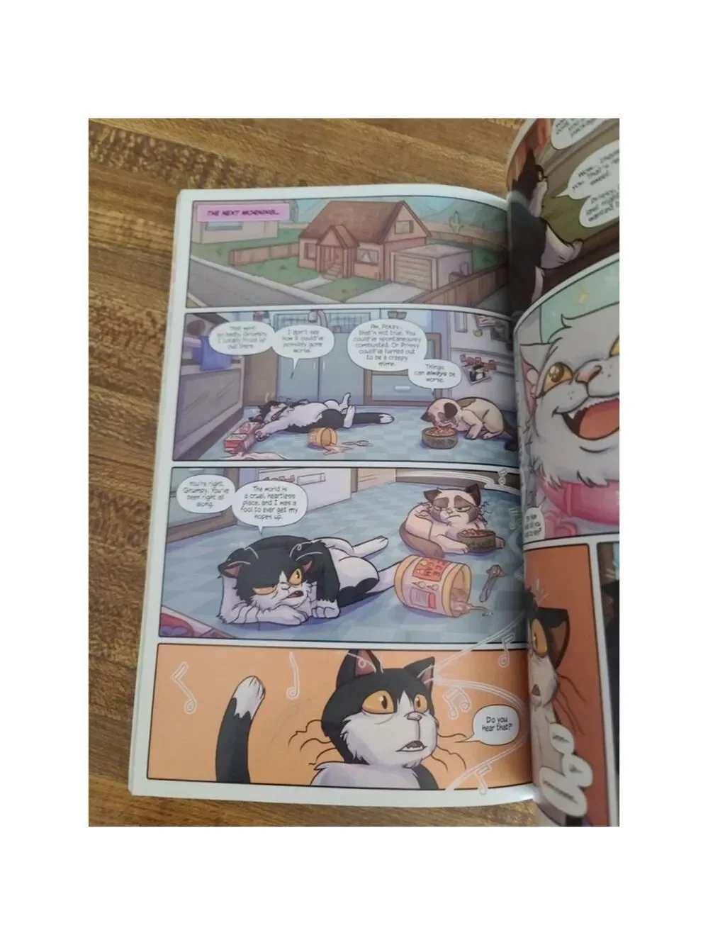 New Dynamite Grumpy Cat & Pokey Graphic Novel